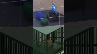 Letter Y, YOUTH CENTER - Letter Z, ZOO #3d #3dartwork #3danimations #3dmodelling #3dart #blender