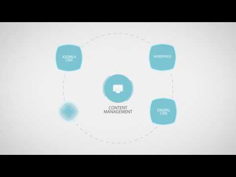 Blue Lion Digital Brand Essence Video