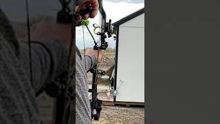 This Problem Rooster Is No Longer A Problem 😤 #shorts #badrooster #rooster #farmlife