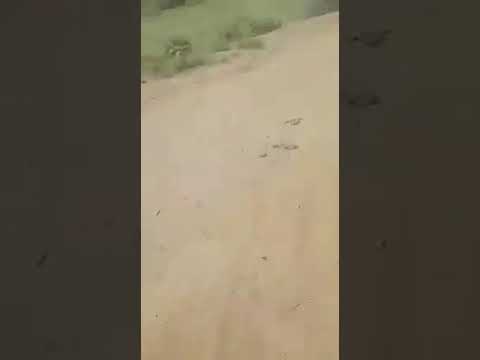 Pakistan Police in A village || The Power of Social Media || Power of Women Knowledge zip 2