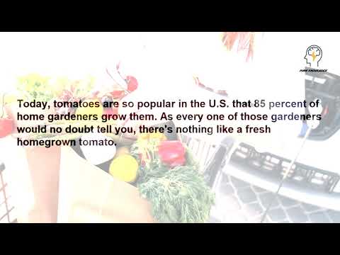 History Of The Tomato