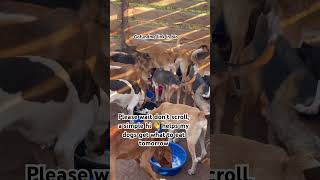 Can you support us weekly please 🙏 consider donating to my link in bio to help