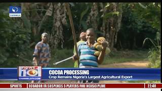Osun Govt Moves To Improve Local Processing Of Cocoa