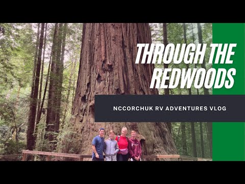 RV Northern California - Redwood Forest Trees of Mystery and San Francisco