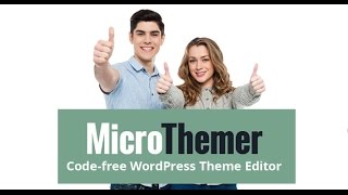 Microthemer INTRODUCTION