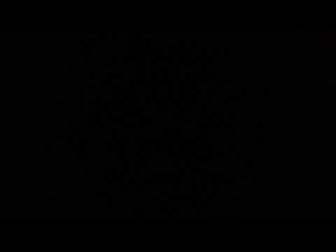 IMG 5249