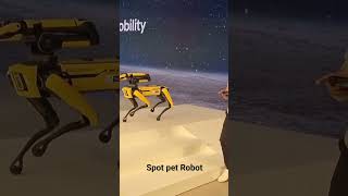 Spot robot | Pet robot | hyundai robot #hyundai #spotrobot #petrobot #rescuedog #rescuerobot #ai