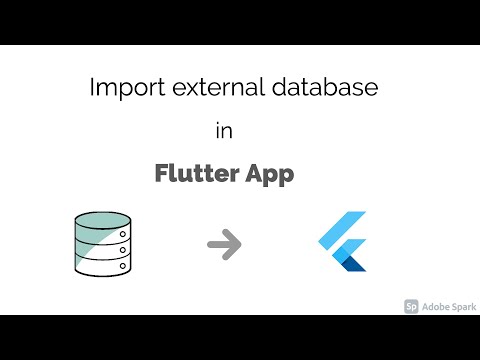 Import external Database from assets in Flutter App