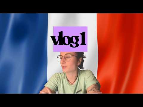 préparation DALF C1 – stromae, régularité, priorités