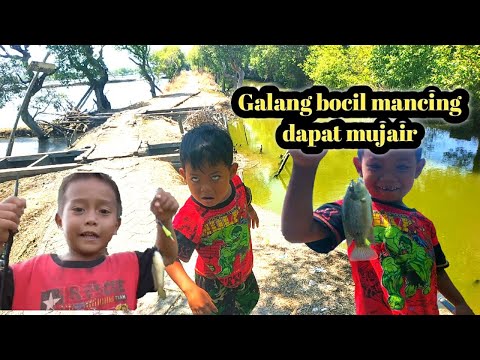 Bocah mancing dapat ikan nila || mirip Adit bocil bocah mancing ngapak