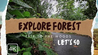 Lost in Nature's Beauty Mysterious Roads & Forest Vibes | The Asu Vlogs