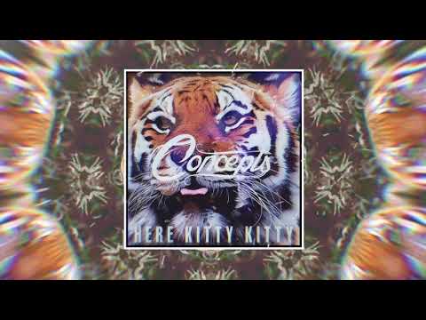 Joe Exotic - Here kitty kitty (Rock Cover by Concepts)