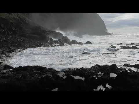 VID 20190206 131900