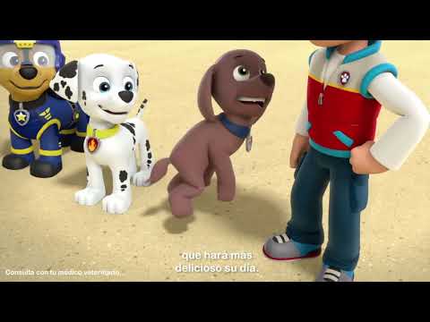 Ama a tu cachorro, con Ganador® Cachorro sabor yogurt de plátano