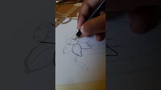 flower drawing #flowerartwork #doodleart #drawingprogress