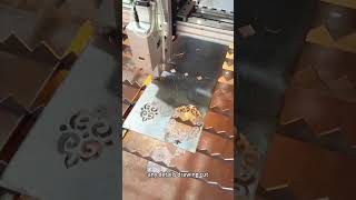 2026 user on site cutting cnc laser Toploong