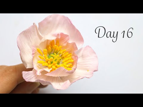 Icelandic Poppy | Day 16 | 30 Days of Sugar Flowers
