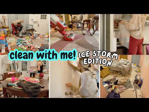New! REALISTIC CLEANING MOTIVATION | SPEED CLEAN WITH ME | ft Winter Storm Fern