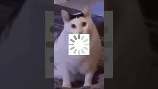 Here’s how I’m developing a social media #socialmedia #developers #program ming ram