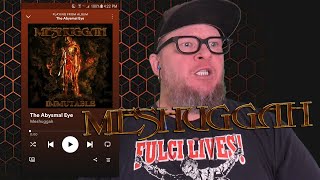 MESHUGGAH - The Abysmal Eye (First Listen)