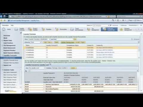 Managing Cash and Liquidity with SAP Business ByDesign - Solution Demo