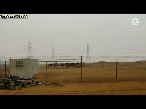 #2022 #Travel #video#dubai camel  racetrack. Desert view.