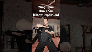Lots of Chinese words sound alike but mean totally different things. #martialarts #wingchun #kungfu