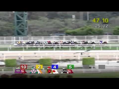 海外Ｇ１勝利！ルーラーシップ　【クイーンエリザベス２世Ｃ】