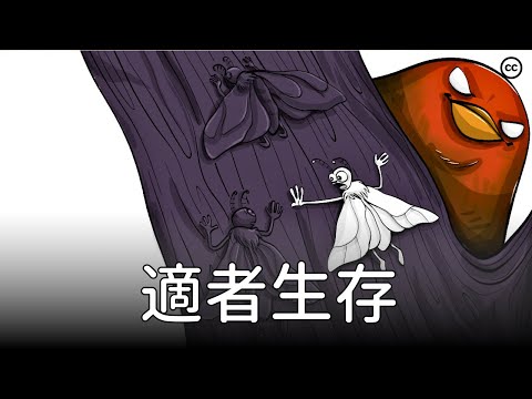 達爾文的進化論：自然選擇