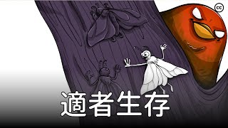 達爾文的進化論：自然選擇