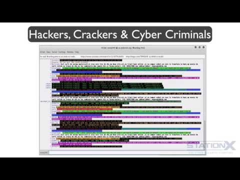 Hackers crackers and cyber criminals