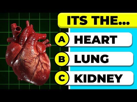 🧠 Ultimate Human Body Quiz 🧍💪 | Easy, Medium, Hard, Expert