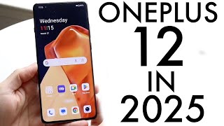 OnePlus 12 in 2025! (Still Worth Buying?) (Review)