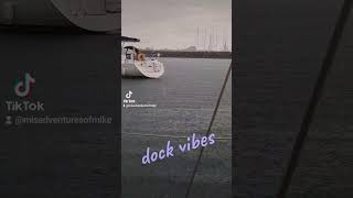 #rainydays #rain #rainonwindow  #rainonroof #lofi #lofichill #lofichillout #bliss #letsgosailing