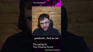 The Dawn of a New Financial System: the Bitcoin-Dollar System