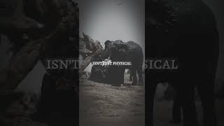 "Elephant Mindset: Strength, Wisdom, and Steady Progress" #motivation #trustyourselffirst #wildlife