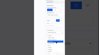 How to Add Country/ State/ and City Dropdowns in a Form Builder?