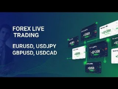 The Trader's Guide to Mastering LIVE FOREX TRADING with EURUSD GOLD