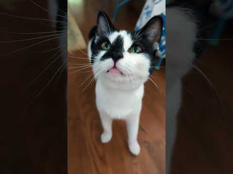 I was just checking to see if I went viral #viral #funny #cute #checking