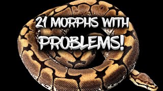21 Ball Python Morphs with Problems!