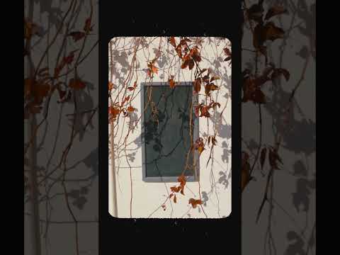 Fall Recap | Vintage Retro Cinematic Vibes | Aesthetic Autumn Memories
