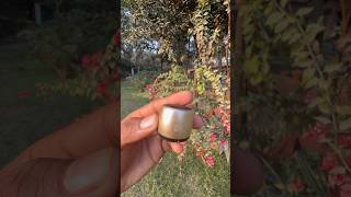Small mimi jbl speaker 🔊 high quality sound testing #ytshorts  #shorts  #viral