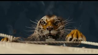 Life of Pi Project Commentary
