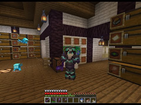 MODの力に溺れたクラフターのバニラマイクラ⑪【志良堂 葵空】
