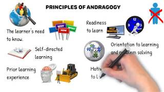 Principles of Andragogy