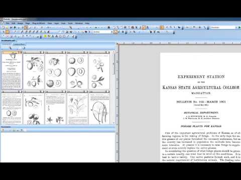 33 PDF Bookmarks and Bookmarking Tool in PixEdit Scanner Software.