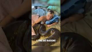 Why do people prefer pythons to traditional pets?🐍🐕😨