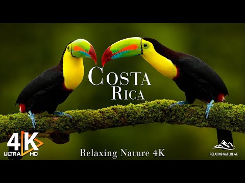COSTA RICA 4K UHD - Exploring The Wild Side Of Costa Rica's Landscapes