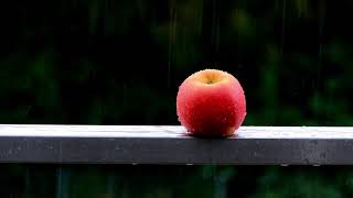 Calm Rain Sounds to STUDY, RELAX, & MEDITATE  | Rain Vibes Only