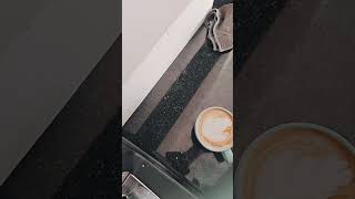 #LatteArt #CoffeeAesthetic #CoffeeVibes #MochaMoments #BrewedPerfection#YouTubeShorts #CoffeeShort